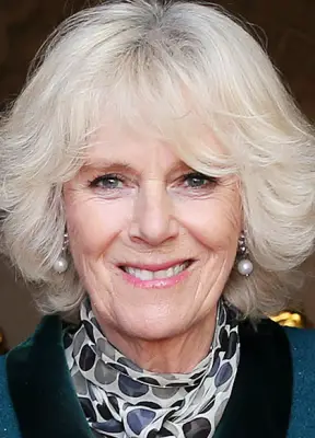 Family Tree for Camilla Parker Bowles Duchess of Cornwall
